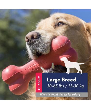 KONG Goodie Bone for Large Dogs - Durable Rubber Chew Toy & Snack Holder - Red - Buy Online on GoSupps.com