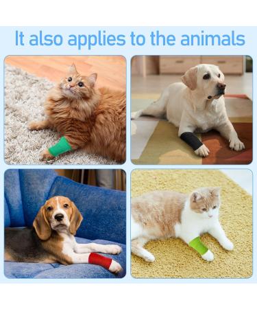 Risvowo 12 Rolls Self-Adhesive Bandages - Elastic Non-Woven Athletic Wrap for Wrist Ankle & Pet Grooming (5cm x 4.5m) - Buy Online on GoSupps.com