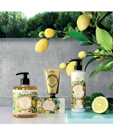 Panier des Sens Provence Shea Butter Body Lotion - Hydrating Body Cream for Dry Skin | Made in France | 97% Natural | 8.45 Floz/250ml - Buy Online on GoSupps.com