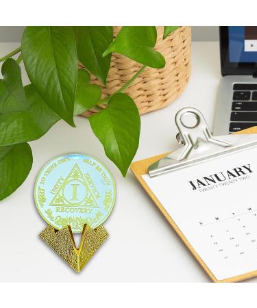 1 Year Sobriety Coin | AA Medallion for Alcoholics Anonymous Recovery - Buy Online on GoSupps.com
