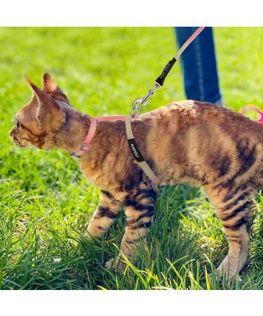 Adjustable Tiesome Cat Dishes with Leash & Collar Set - Color Gradient Kitten Dishes for Outdoor Walks (Orange & Yellow) - Buy Online on GoSupps.com