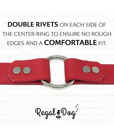 Regal Dog Waterproof Collar for Small Medium & Large Dogs - Red Halfband with Middle Ring - Ideal for Puppies & Adult Dogs - Buy Online on GoSupps.com