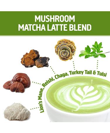 Om Mushrooms Mushroom Powered Matcha Latte Blend 10 Packets 0.28 oz (8 g) Each - Buy Online on GoSupps.com