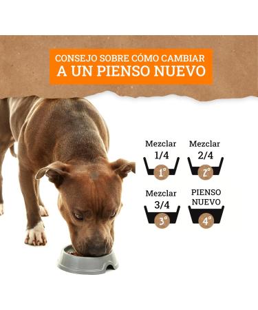 Yerbero Nature Chicken and Rice Premium Dog Food 10 kg - Buy Online on GoSupps.com