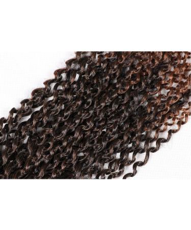 12 Inch Short Passion Twist Hair Marlybob Crochet Hair - 6 Bundles 12 Kinky Curly Crochet Hair for Black Women - Buy Online on GoSupps.com