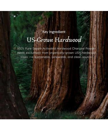 Activated Hardwood Charcoal Powder by Schizandu Vegan 100% | Supports Skin Body Teeth Whitening 2-Packs - Buy Online on GoSupps.com