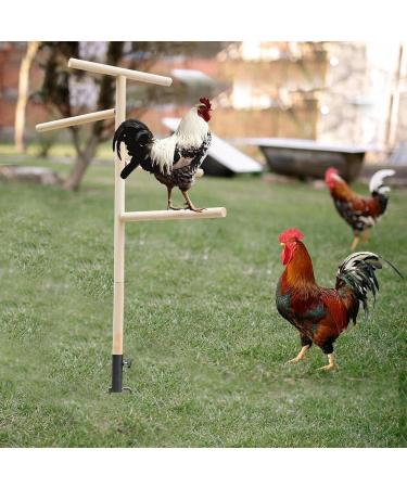 Buy Generic Boden Chicken Rod - Outdoor Poultry Stand & Enrichment Toy for Chickens Parrots & Nymphensitties | Perfect for Playgrounds - Buy Online on GoSupps.com