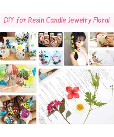 135 Pcs Natural Dried Pressed Flowers & Leaves Set for DIY Resin Jewelry, Candle, Nail Art - White Blue Pink Daisy Decoration - Buy Online on GoSupps.com