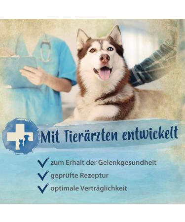 Ida Plus Sportsfreund - Joint Support for Dogs | Delicious Green Lip Shell Snacks for Mobility & Agility | 30-Day Supply - Buy Online on GoSupps.com