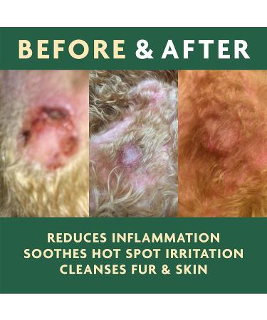 Vet Organics EcoSpot Natural Skin Soother & Disinfectant for Dogs & Cats - 4 fl oz - Buy Online on GoSupps.com