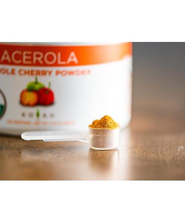 KOYAH Organic Acerola Cherry Powder - 220 Servings (200% Vitamin C) | Freeze-dried Whole-Cherry Powder - Buy Online on GoSupps.com