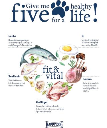 Happy Dog Fit & Vital Mini Light 800g Healthy Dog Food for Weight Management | International Shipping Available - Buy Online on GoSupps.com