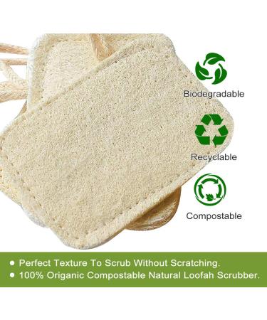 4 Pieces Biodegradable Luffa Sponges - Reusable Natural Bathing & Dish Cleaning Washers with Cord | Eco-Friendly Kitchen & Spa Essentials - Buy Online on GoSupps.com