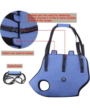 COODEO Dog Lift Harness Pet Support & Rehabilitation Sling Lift Adjustable Padded Breathable Straps for Old Disabled Joint Injuries Arthritis Loss of Stability Dogs Walk (Blue L) Blue Large - Buy Online on GoSupps.com