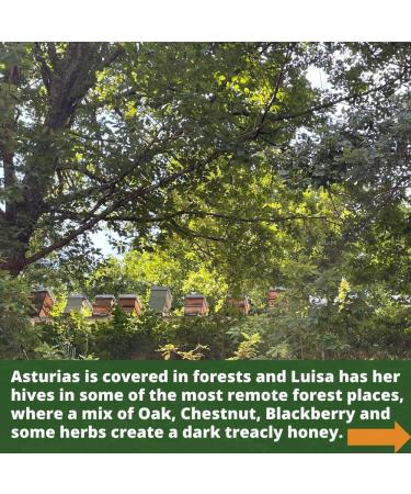 Luisa s Raw Certified Organic FOREST HONEY ACTIVE 17 |Antibacterial |Unpasteurised |Single Origin |The Raw Honey Shop |(5kg) - Buy Online on GoSupps.com