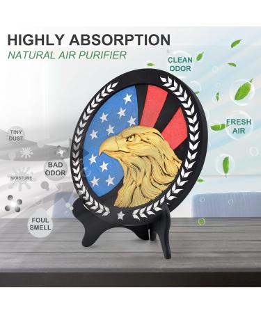 Art Charcoal Air Purifier | Activated Charcoal Odor Absorber & Moisture Remover | Enhance Home Decor | American Hawk - Buy Online on GoSupps.com