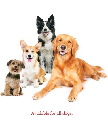 Milk-Bone Flavour Snacks Dog Biscuits Medium Sized Dog Treats Assorted Flavours 2kg Boxes (Pack of 6) Medium dog 2Kg (Pack of 6) - Buy Online on GoSupps.com