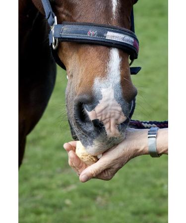 Fresh Horseradish for Horses - 2nd Class Quality (1000g) | Buy Now for International Shipping - Buy Online on GoSupps.com