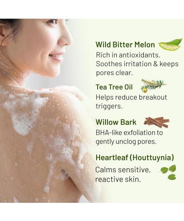 ABERA High-Performance Folliculitis Body Wash with Wild Bitter Melon Extract, BHA Shower Gel, Reduces Back Acne & Keratosis Pilaris, Folliculitis Treatment, Acne Body Wash for Sensitive Skin, 10.14 oz A. 1 Box - Buy Online on GoSupps.com