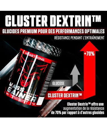MASS GAINER VITASTRONG - 30% Whey Protein Cluster Dextrin 3g Creatine Monohydrate Powder - Gainer Muscle Gain - Powerful Formula - Premium Quality - Buy Online on GoSupps.com