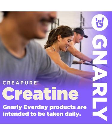 Gnarly Nutrition Creatine Powder - Vegan Creapure NSF Certified 5g Creatine Monohydrate for Optimal Recovery & Sports Nutrition (15.87oz - Buy Online on GoSupps.com
