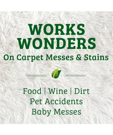 Biokleen Bac-Out Stain Remover - Eco-Friendly Enzymatic Cleaner for Carpet & Clothes - 32 oz & Gallon Refill - Best for Pet Stains Diapers Wine & More - Buy Online on GoSupps.com