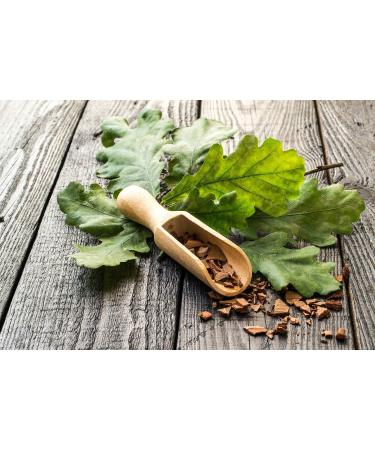 Oak Bark Tea | Quercus L | corce De Ch ne Tisane | Health Embassy (50g) - Buy Online on GoSupps.com