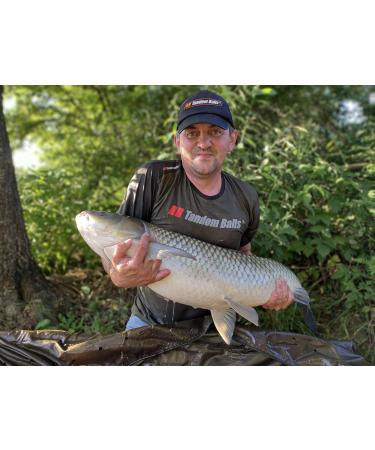 Tandem Baits Carp Food Mini Boosted Hookers Carp Bait Carp Fishing Fishing Pop-Ups Carp Boilies Professional Carp Fishing Accessories 12mm 50g - Buy Online on GoSupps.com