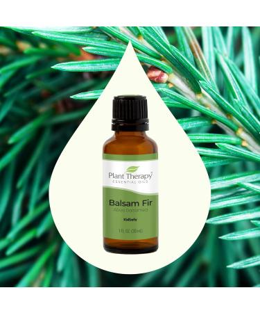Buy Plant Therapy Balsam Fir Essential Oil 30 mL - 100% Pure Undiluted Therapeutic Grade for International Shipping - Buy Online on GoSupps.com