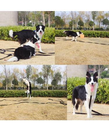 Shop 5M Retractable Dog Leash - 16ft Training Leash for Dogs | Durable Robust Design - Perfect for Recall Camping & Yard Use - Red - Buy Online on GoSupps.com
