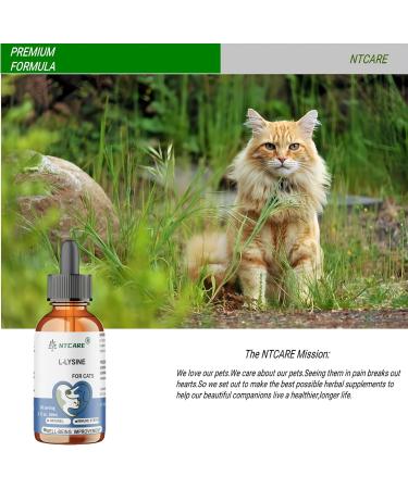 L-Lysine Supplement for Cats - Cat Supplement for Sneezing and Runny Nose Cold Immune Support Eye Function and Respiratory Health Lysine 2 fl oz - Buy Online on GoSupps.com