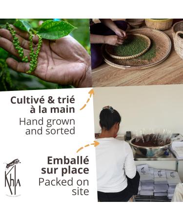 Khla - Organic Kampot White Pepper - Bulk Bag of Peppercorns 500g - Mill Refill - Grand Cru Strong & Powerful - Cooking Ingredient - Direct Producer - Asian Spice - Cambodian Origin - Buy Online on GoSupps.com