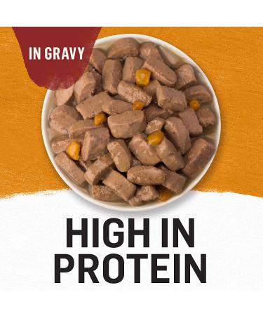 Purina Beyond Grain Free Wet Dog Food in Gravy - Chicken & Sweet Potato, 12.5 oz Cans (12-Pack) - Buy Online on GoSupps.com