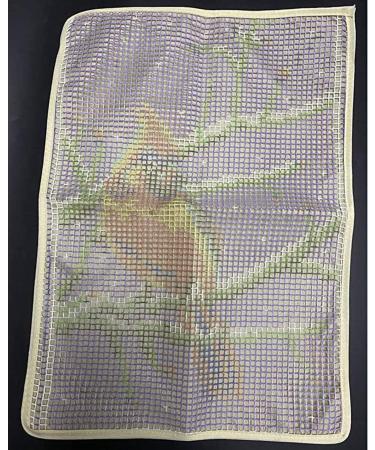 Red Cardinal Latch Hook Rug Kit for Adults - DIY Crocheting Carpet Art Craft 20.5X15 Inch - Buy Online on GoSupps.com