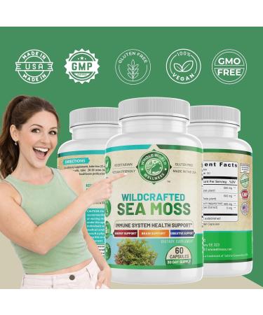 WHOLE WORLD WELLNESS Organic Sea Moss | Immune Support & Brain Health | Bladderwrack, Burdock Root & Bioperine | All Natural, Dairy Free, Gluten Free | 60 Capsules | Made in The USA. - Buy Online on GoSupps.com