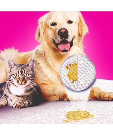 Vanish Pet Expert Carpet Cleaner | 750g Powder for Upholstery Care | Fights Dirt Hair & Urine Odor - Ideal for Large Areas - Buy Online on GoSupps.com