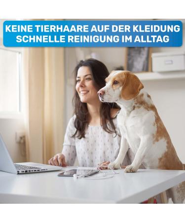 Bluepet 3x Widerverwendbare Mini Lint Roll - Sustainable Animal Hair Remover for Dog & Cat Hair - Washable & Portable - Perfect for Travel - Buy Online on GoSupps.com