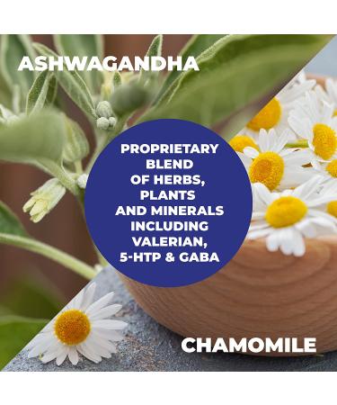 Mind Clarity & Relaxation with Ashwagandha, Vitamin B Complex, Calcium, Magnesium, Chamomile, Valerian, 5-HTP, GABA - Stress Relief & Mood Support - 60 Capsules - Buy Online on GoSupps.com