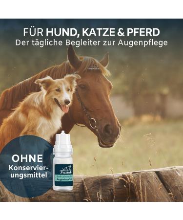 Vital-Friend Eye Drops for Dogs Cats & Horses - 10ml Preservative-Free Eye Care for Inflammation & Conjunctivitis - Buy Online on GoSupps.com