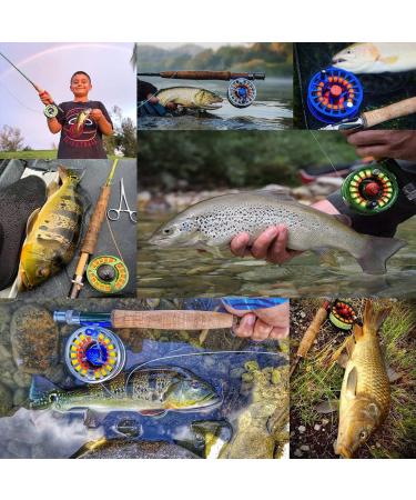 Maximumcatch Avid Series Fly Fishing Rollers | Lightweight Large Coil Core | 1/3 to 9/10WT | 5 Color Options & Cords Combo - Buy Online on GoSupps.com