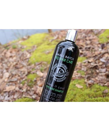 Premium Organic Hair Shampoo - Sulfate Free Argan Oil Tea Tree & Peppermint for Men & Women - Loss & Dandruff Prevention | Dave's 16 Oz - Buy Online on GoSupps.com