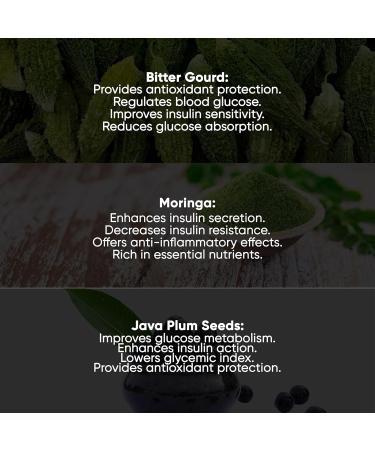 HERBOGANIC Bitter Gourd Moringa and Java Plum Seed Capsules | 500mg |All Natural Detoxification | 60 Capsules - Buy Online on GoSupps.com