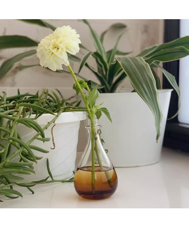 Have a Good Day! Fragrance Mist by Scent Beauty - Beautiful and Light Spray Fragrance from Nature - Vegan and Non-Toxic Mist Featuring Notes of Neroli and Bergamot - 2.0 Oz / 60ml Have A Good Day!. 2.03 Fl Oz (Pack of 1) - Buy Online on GoSupps.com