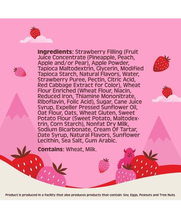 Bitsy's Real Fruit & Grain Bars - Strawberry & Fig Variety Pack | 15 Individually Wrapped Breakfast or Lunchbox Snack Bars - Buy Online on GoSupps.com