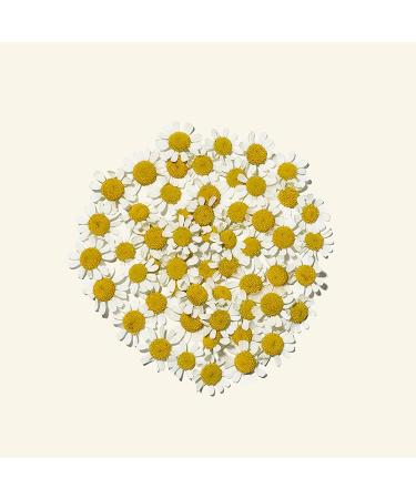 Aveeno Ultra-Calming Foaming Cleanser - Fragrance-Free 6 fl oz | Gentle Skin Care - Buy Online on GoSupps.com