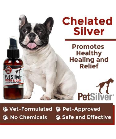 PetSilver Teeth & Gum Spray for Dogs and Cats - Chelated Silver Formula - Made in USA - 4 oz - Buy Online on GoSupps.com