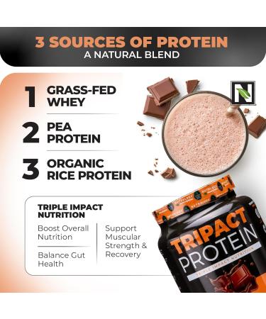 Nutrology TRIPACT Protein Powder 7-in-1 Meal Replacement Shake Creamy Chocolate (40 Servings) Zen Natural Magnesium Supplement (30 Servings) - Buy Online on GoSupps.com