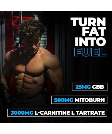 Huge Supplements Liquid L-Carnitine 3000 Superior Potency Infused with 500mg MitoBurn & 25mg GBB Premium Stim-Free Thermogenic Fat Burner & Energy Boost Convenient Pump Top 32 Oz (60 Servings) Blue Razz - Buy Online on GoSupps.com