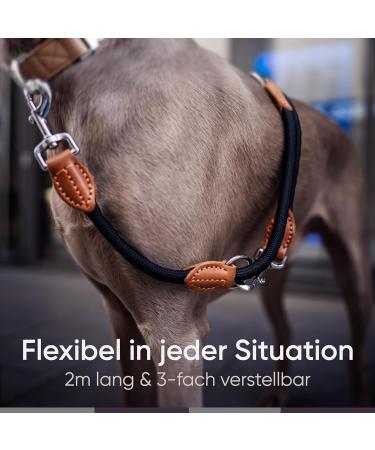 Freudenier Adjustable Dog Leash for Medium & Large Dogs - 2m Robust Nylon with Brown Leather Elements - Perfect for Chasing - Buy Online on GoSupps.com