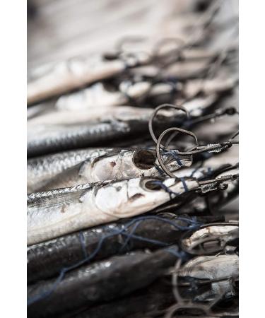 Mustad Classic 39944 Wide Gap Circle Hooks | Size 2, Pack of 50 | Black Nickel Finish | Ideal for Tuna, Catfish, Bass | Saltwater & Freshwater - Buy Online on GoSupps.com